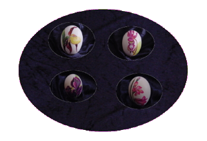 eier1p