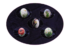 eier2p
