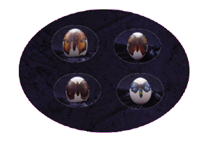 eier6p